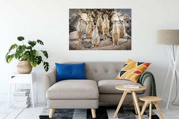Pixxprint Leinwandbild Lustige Erdmännchen, Lustige Erdmännchen (1 St), Leinwandbild fertig bespannt, inkl. Zackenaufhänger
