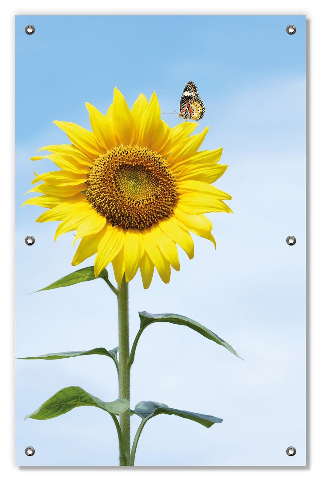 Sonnenschutz Sonnenblume mit Schmetterling, Wallario, blickdicht, mit Saugnäpfen, wiederablösbar und wiederverwendbar