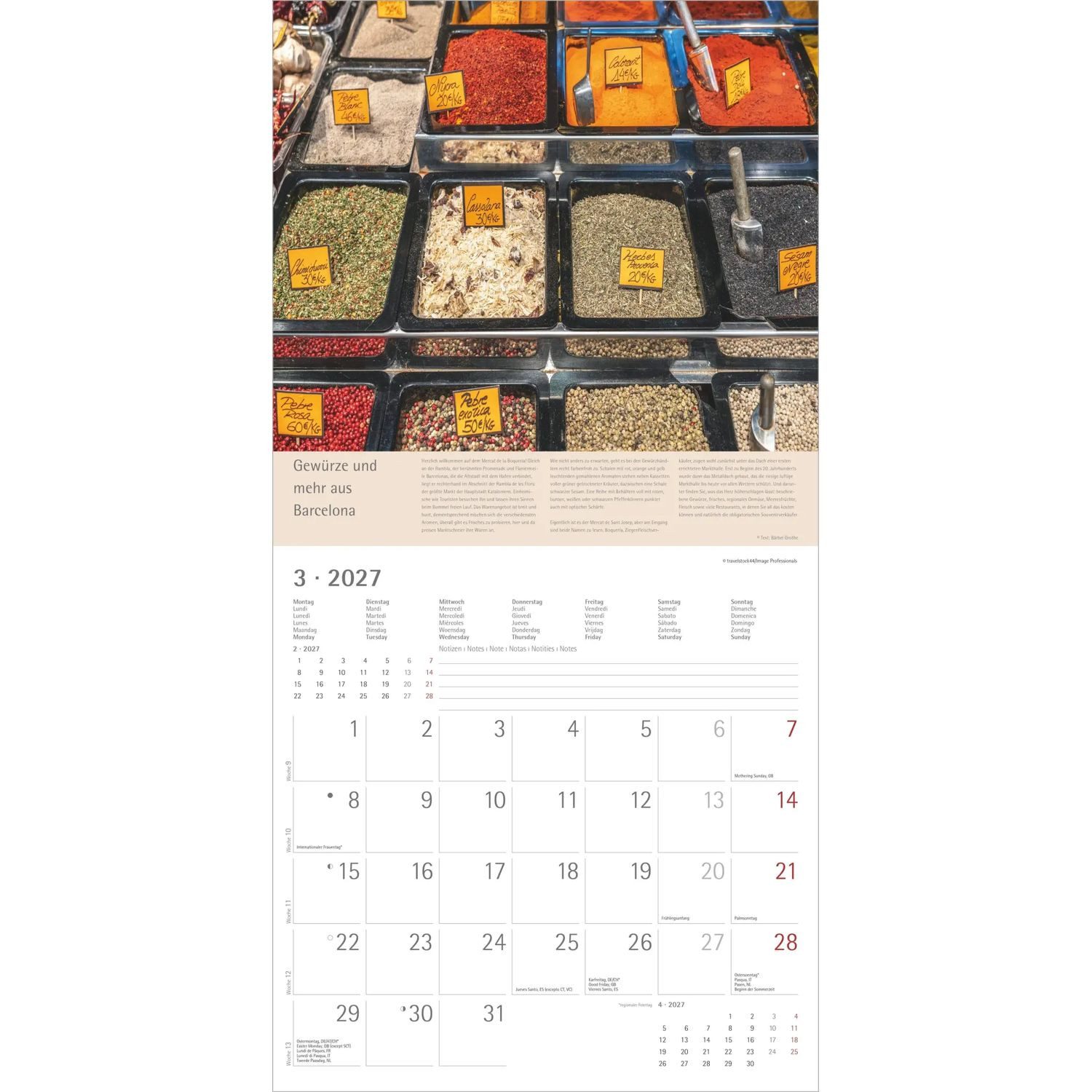 Wandkalender Kräuter und Gewürze 2027 – Bild 3 von 5