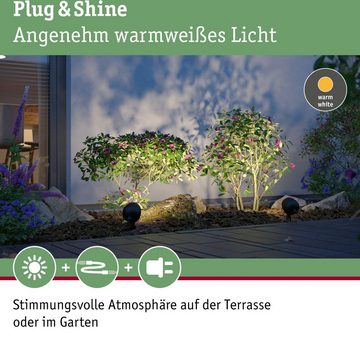 Paulmann LED Gartenleuchte Outdoor Plug & Shine Spot Kikolo 60° 3000K anthrazit, LED fest integriert, Warmweiß, Outdoor Plug & Shine Spot Kikolo 60° 3000K anthrazit