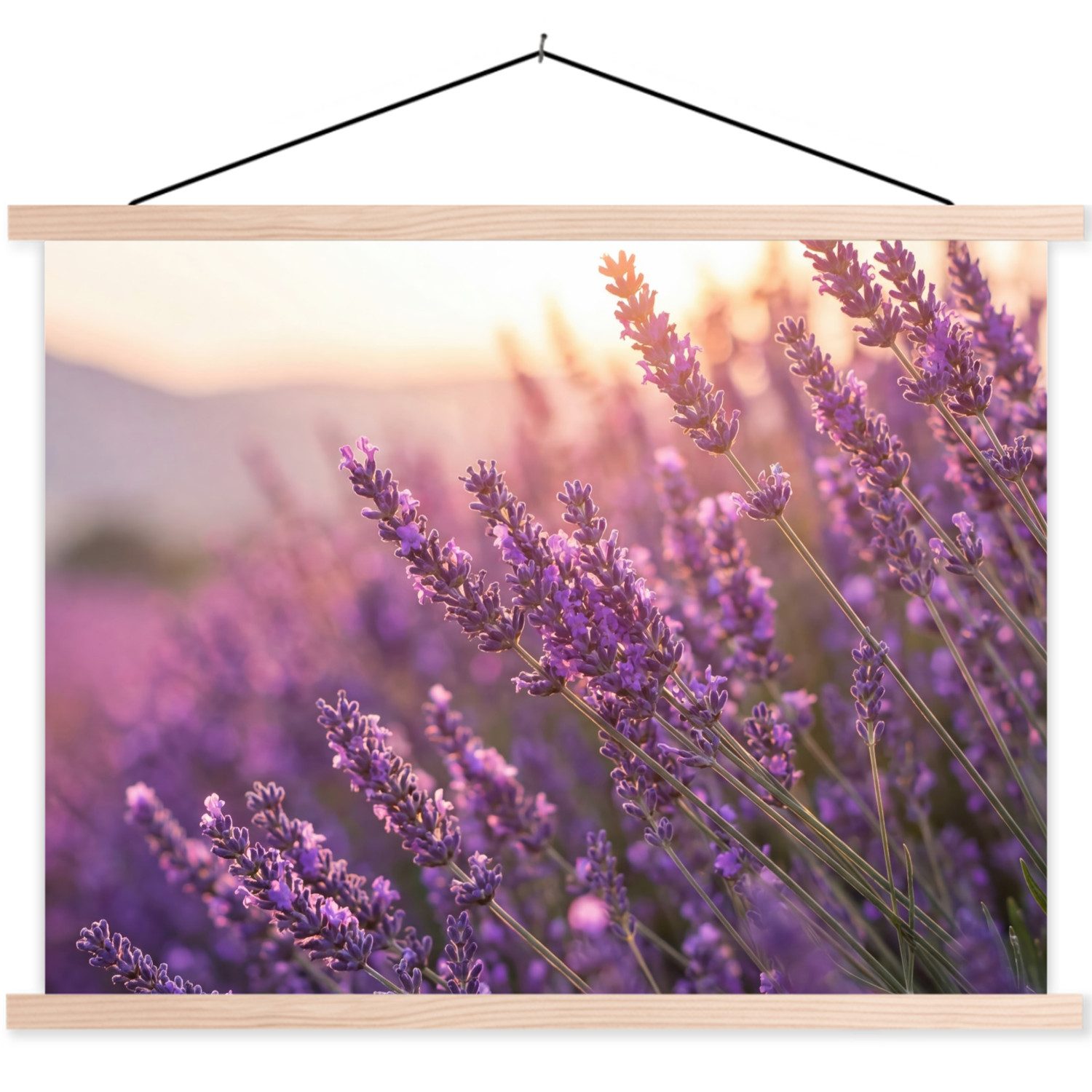 MuchoWow Poster Lavendel - Lila - Sonnenlicht, (1 St), Posterleiste, Textilposter für Wohnzimmer, Bilderleiste, 40x30 cm