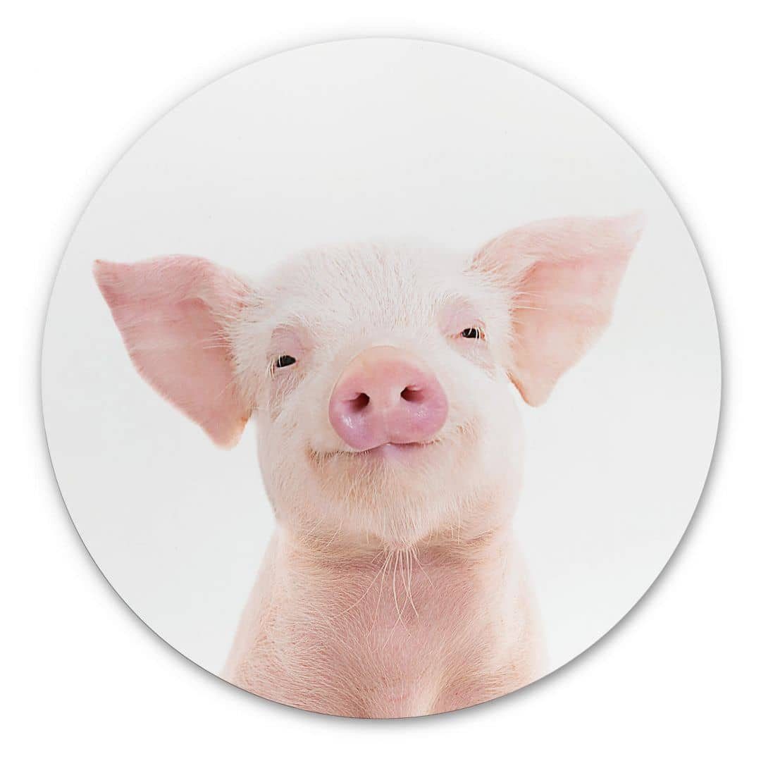 K&L Wall Art Gemälde Metallposter Kinderzimmer Ferkel Baby Schwein Bauernhof Tiere, Metalloptik Wandbild Ø 30cm