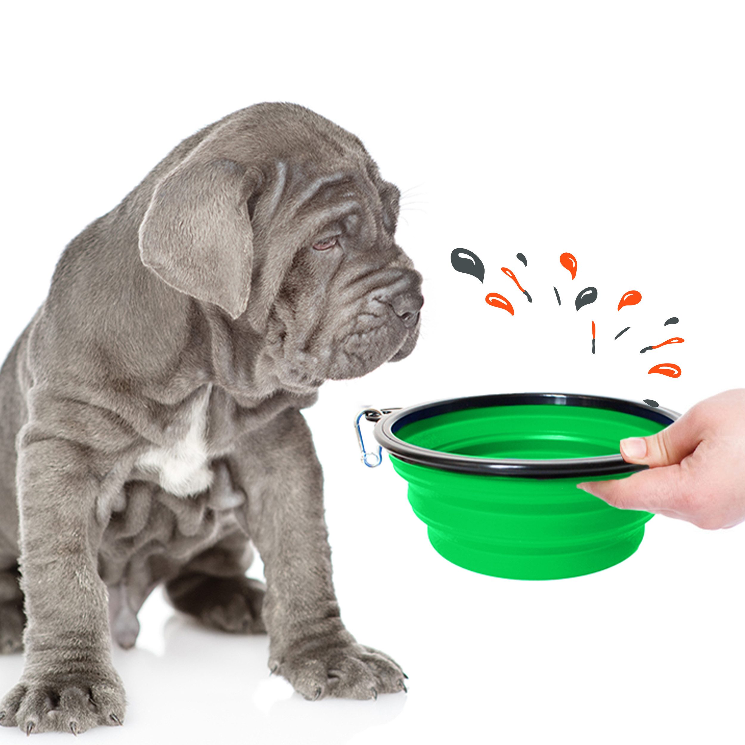 Petsation Reisenapf Hundenapf faltbar für unterwegs - Reisenapf Hund ideal für den Alltag