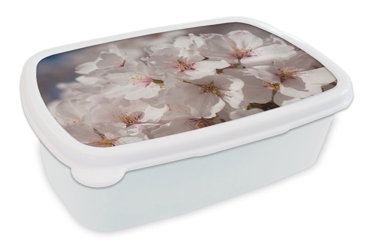 MuchoWow Lunchbox Blumen - Sonne - Blüte, Kunststoff, (2-tlg), Brotbox für Kinder und Erwachsene, Brotdose, für Jungs und Mädchen weiß
