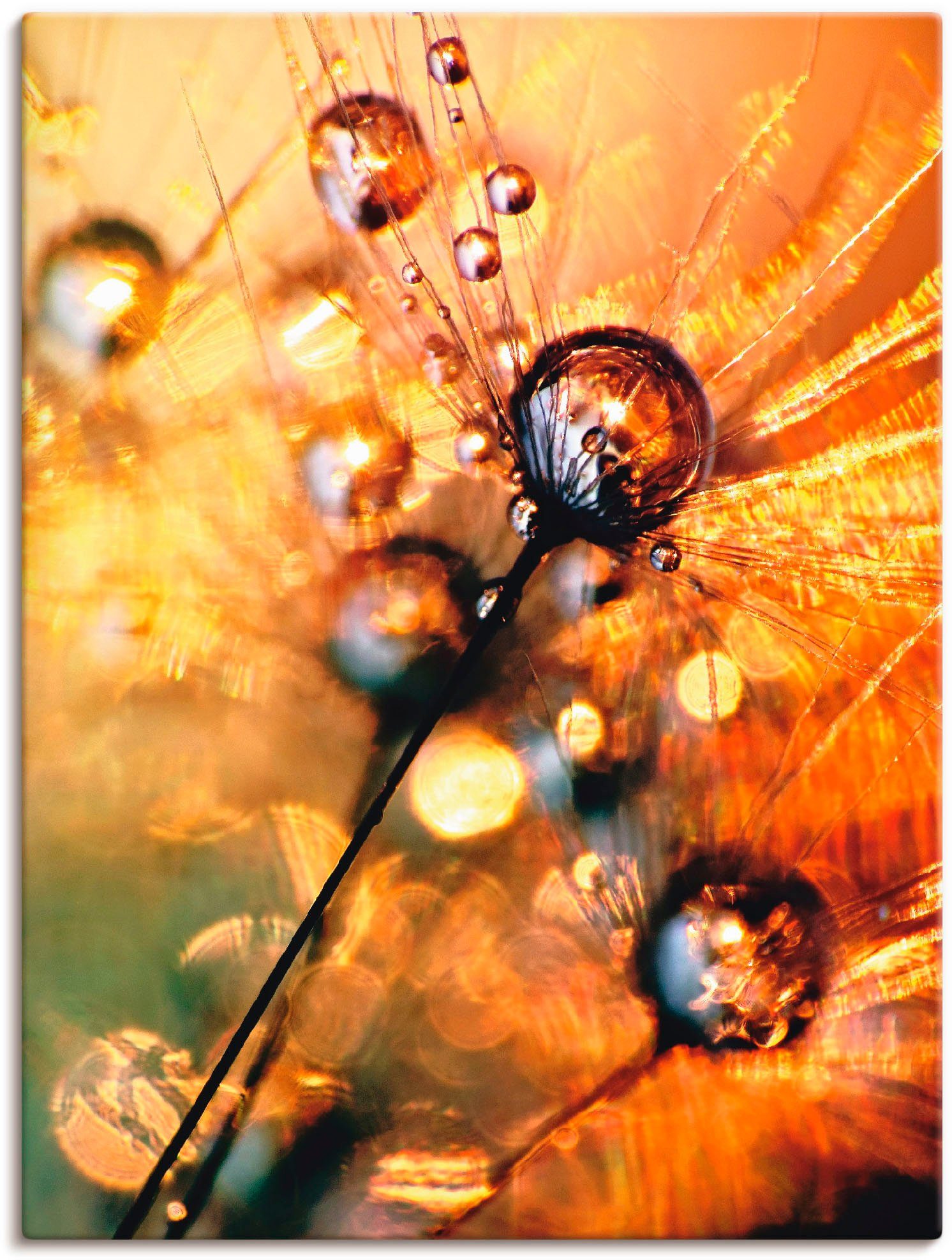 Artland Wandbild Pusteblume Energy, Blumen (1 St), als Leinwandbild, Плакат in verschied. Größen