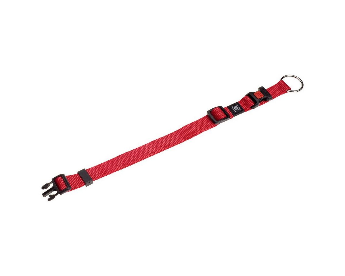 Thumbnail - Flamingo Hunde-Halsband Halsband Ziggi rot