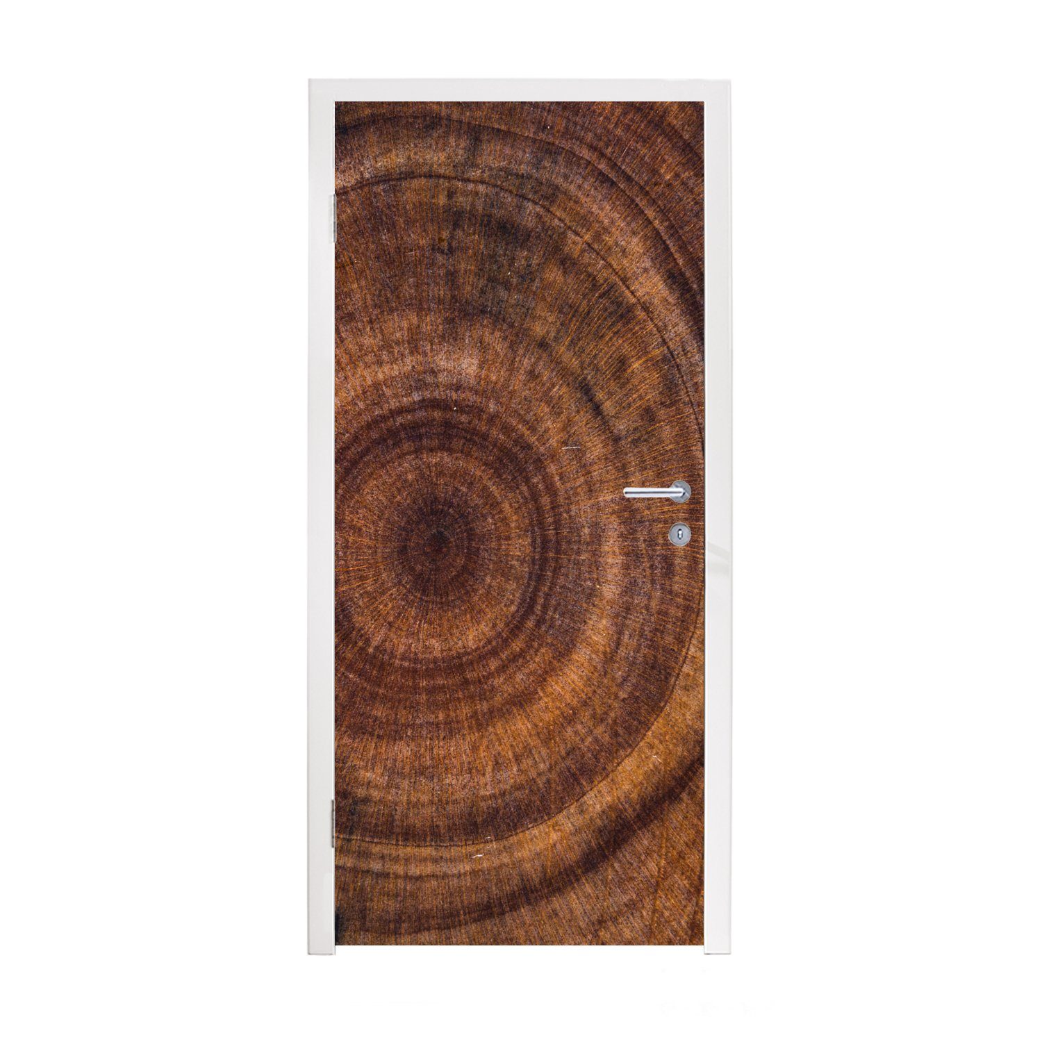 75x205 - Fototapete Matt, Türaufkleber, Holz St), Türtapete Ringe, bedruckt, Tür, Kreis (1 MuchoWow für - cm