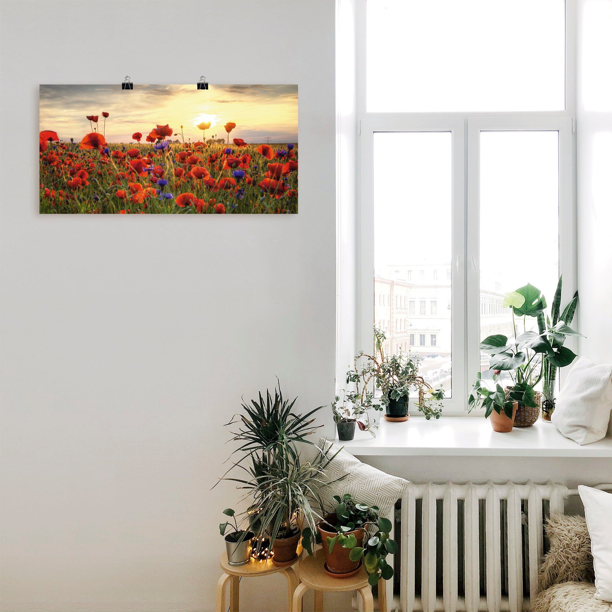 Artland Wandbild Mohnblumen, Blumen (1 St), als Alubild, Leinwandbild, Wandaufkleber oder Poster in versch. Größen