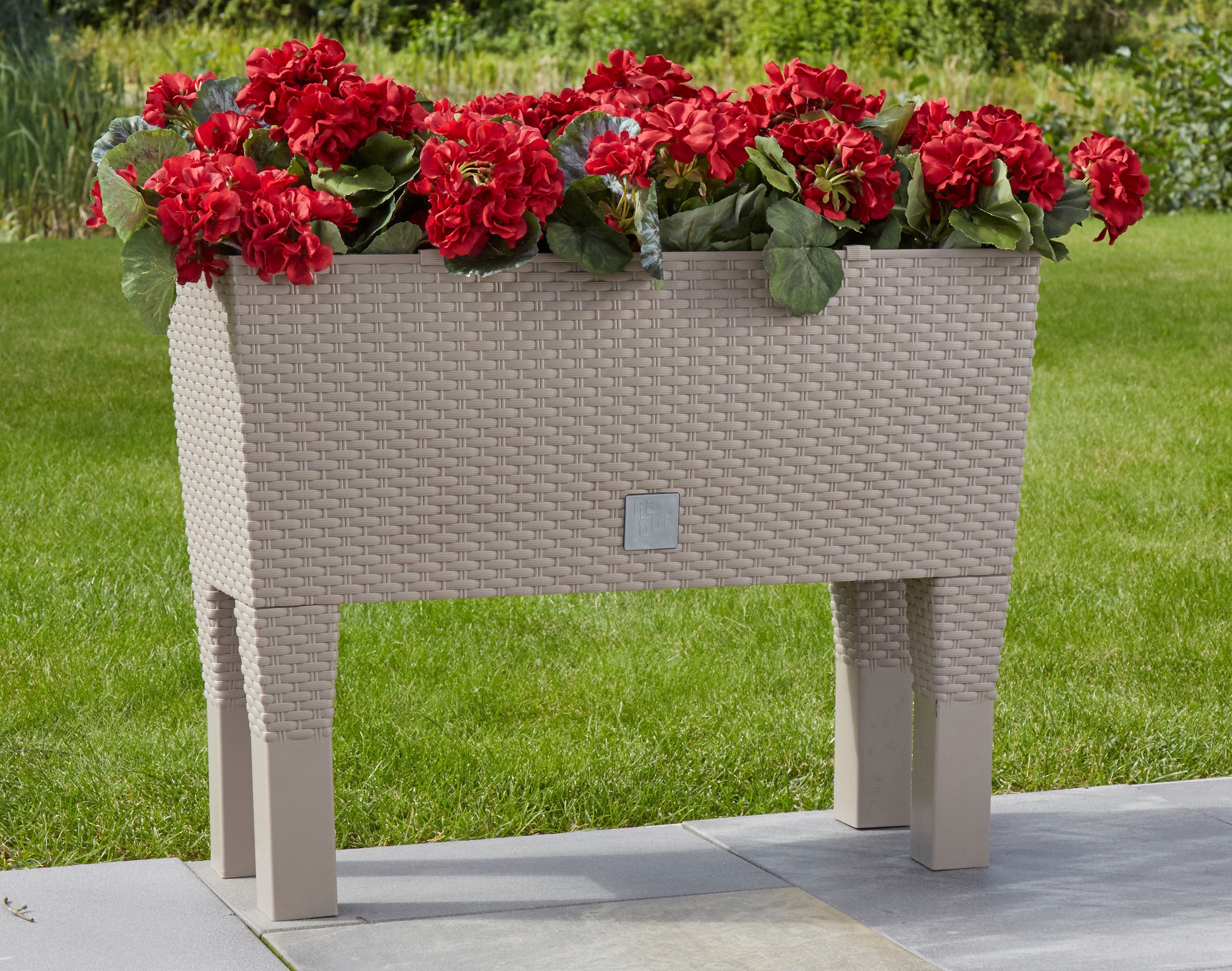 Prosperplast Pflanzkübel Rato Case High, BxTxH: 60x25x46 cm, Für Garten,  Balkon und Terrasse