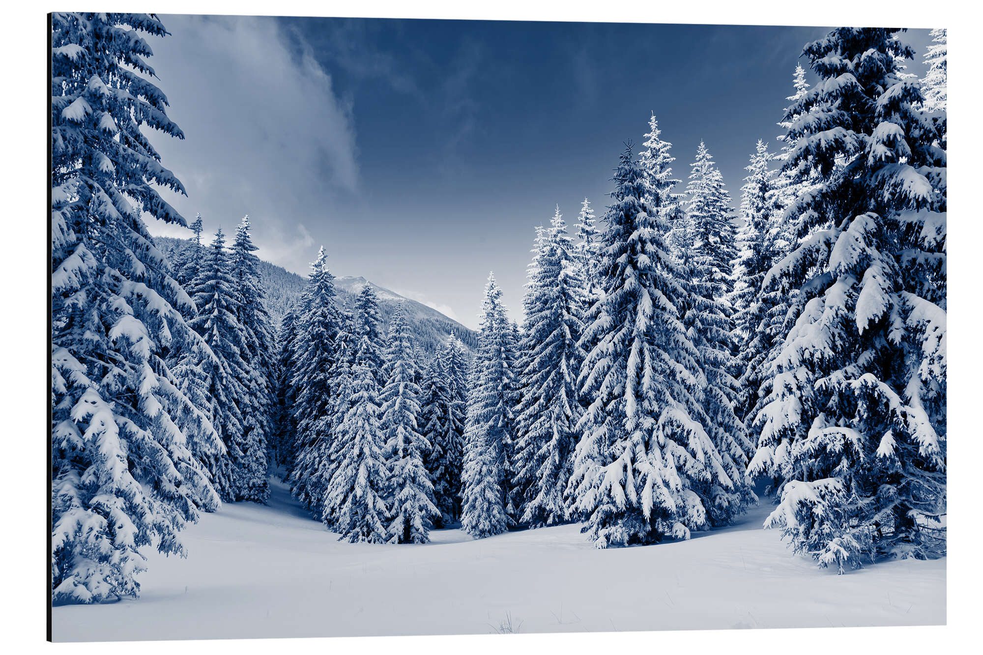 Posterlounge Alu-Dibond-Druck Editors Choice, Winterlandschaft mit schneebedeckten Bäumen, Fotografie