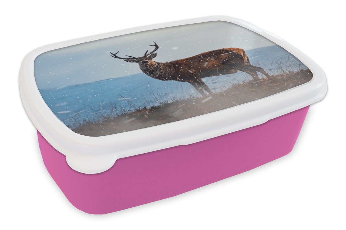 MuchoWow Lunchbox Hirsche auf der verschneiten Heide, Kunststoff, (2-tlg), Brotbox für Erwachsene, Brotdose Kinder, Snackbox, Mädchen, Kunststoff rosa