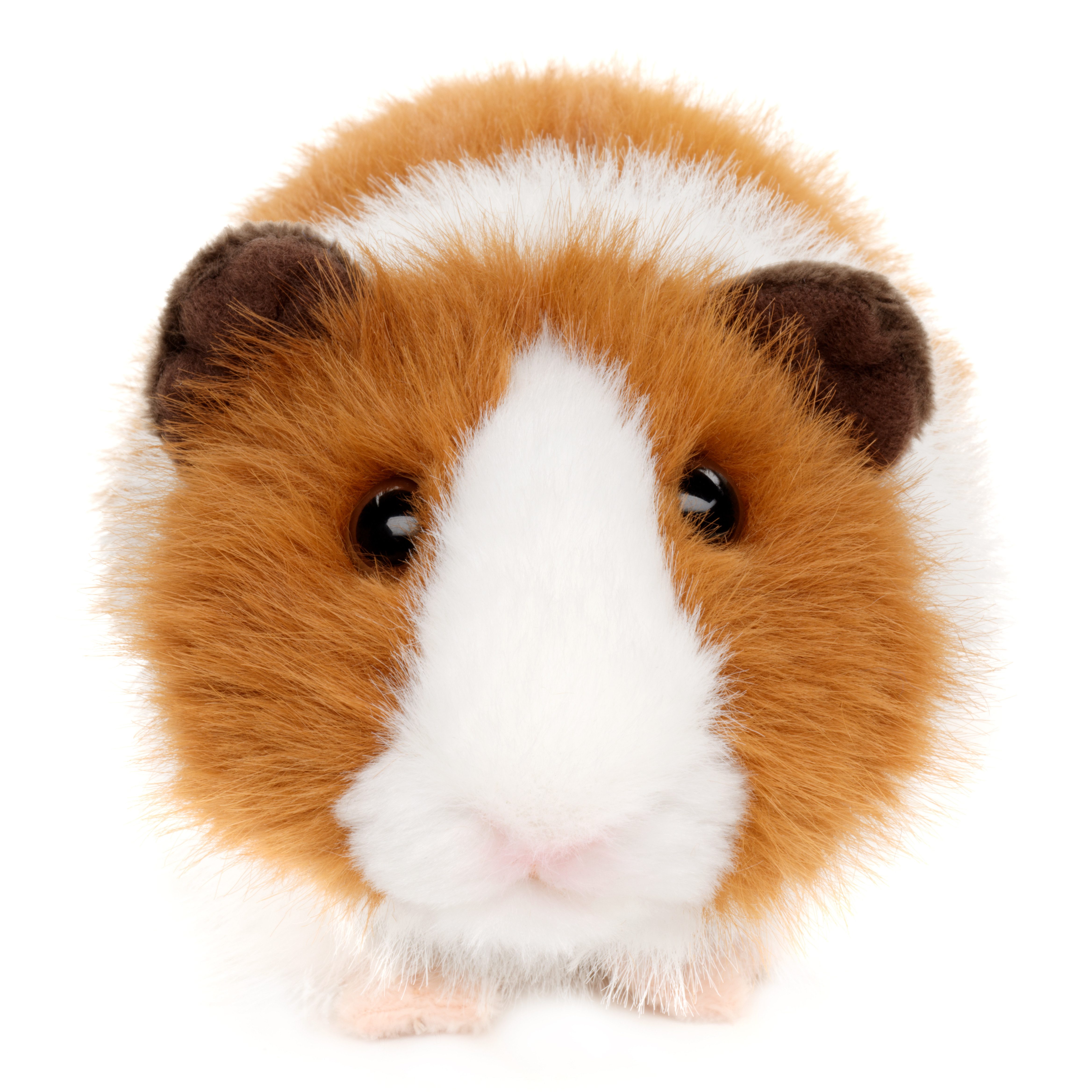 Uni-Toys Kuscheltier Meerschweinchen - verschiedene Farben - 21 cm (Länge) - Plüschtier, zu 100 % recyceltes Füllmaterial