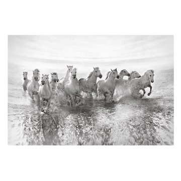 Bilderdepot24 Leinwandbild Tiere Strand Weiße Pferde Meer schwarz weiss Bild auf Leinwand XXL, Bild auf Leinwand; Leinwanddruck in vielen Größen