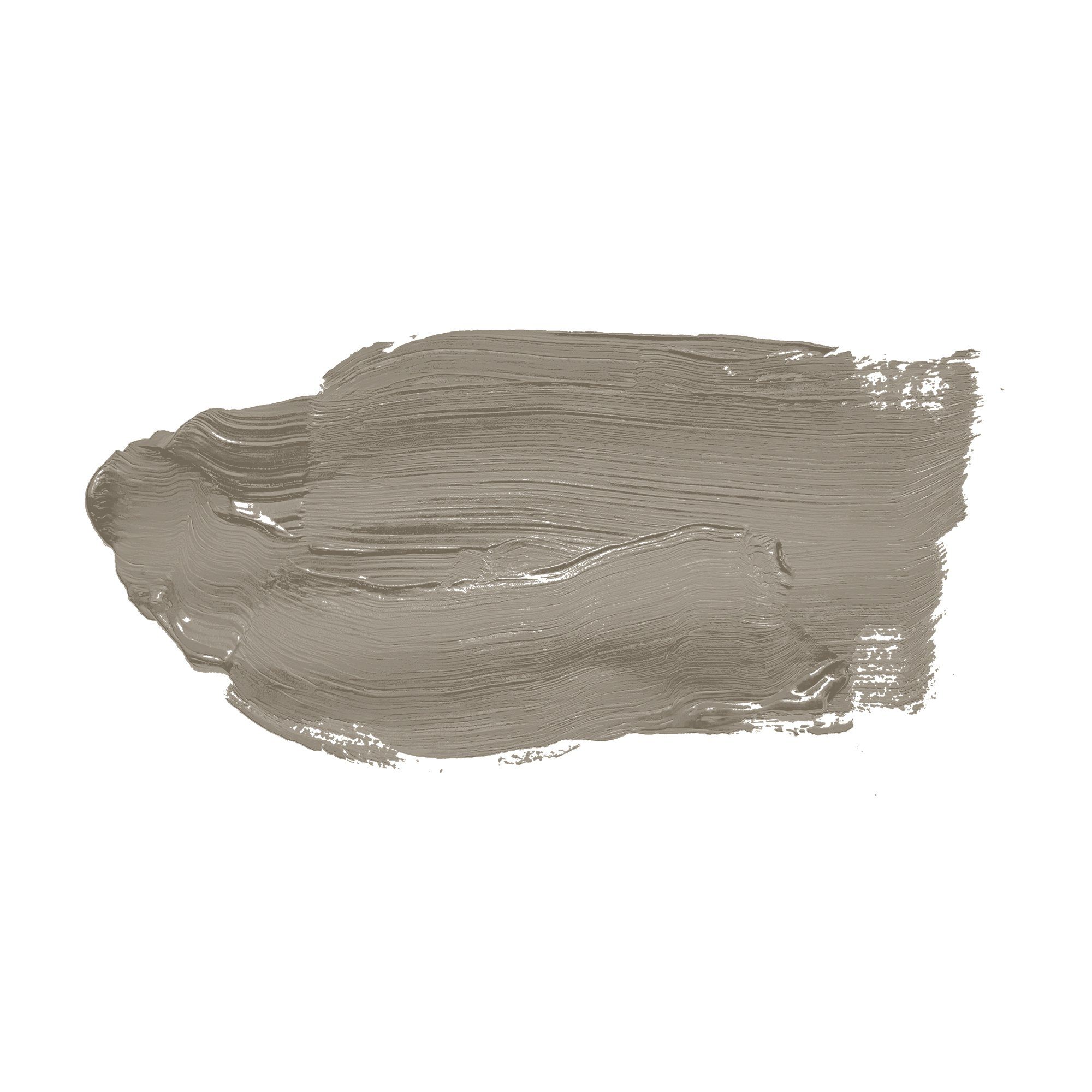 Thumbnail - A.S. Création Wandfarbe, Wand- und Deckenfarbe Seidenmatt Innenfarbe 1020 5l Aesthetic Ajwain