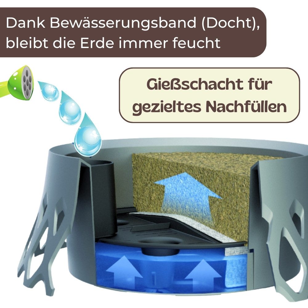 GarPet Pflanzschale Grabschale mit Selbstbewässerung Grabvase mit Wasserspeicher Friedhof – Bild 5 von 5