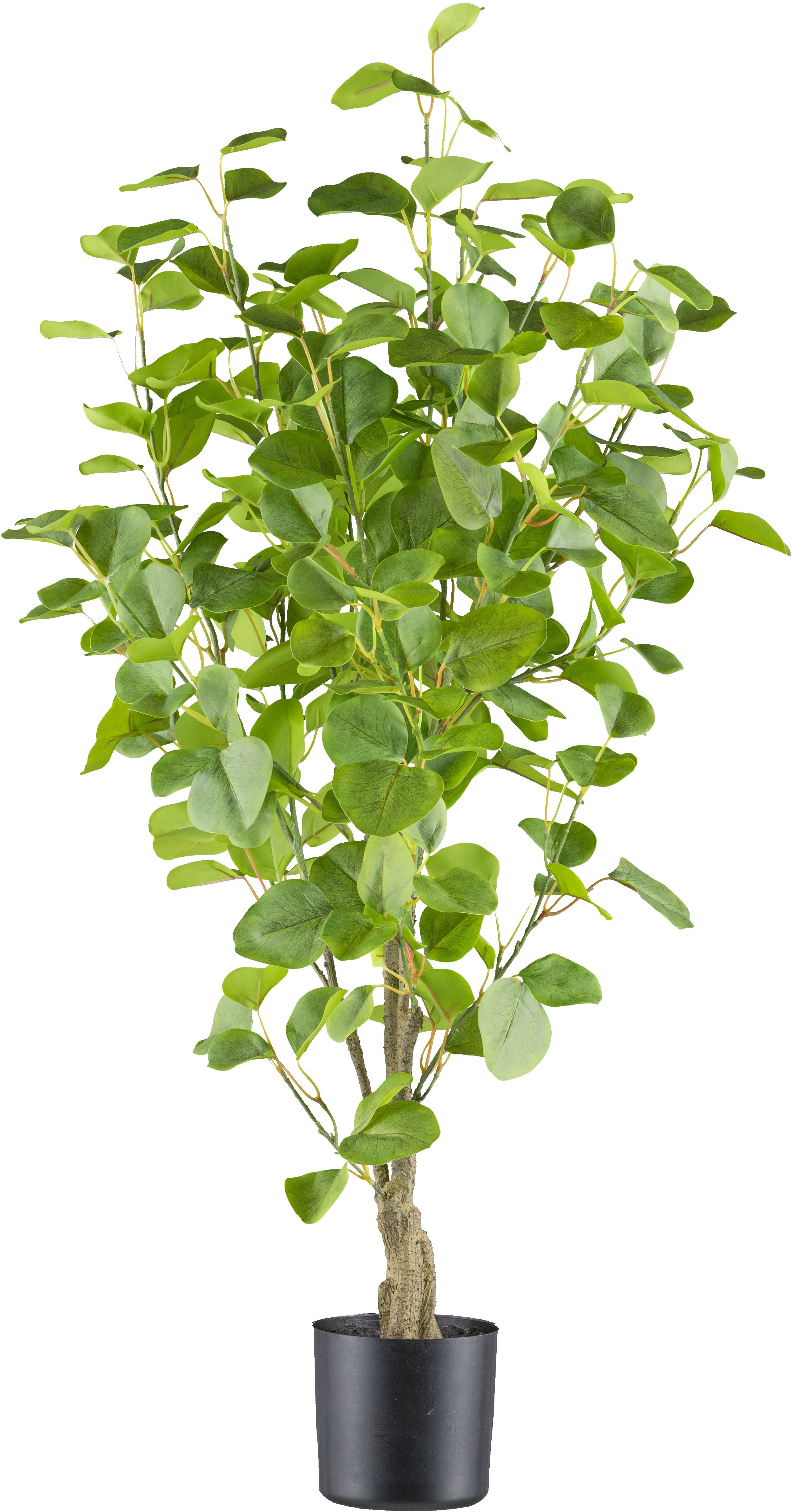 Kunstbaum Eukalyptus Grünpflanze, Creativ green, Höhe 90 cm, mit sehr natur günstig online kaufen