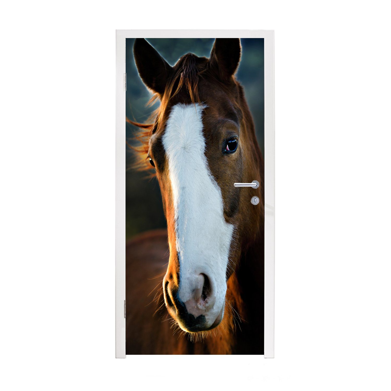 MuchoWow Türtapete Pferd - Kopf - Licht, Matt, bedruckt, (1 St), Fototapete für Tür, Türaufkleber, 75x205 cm