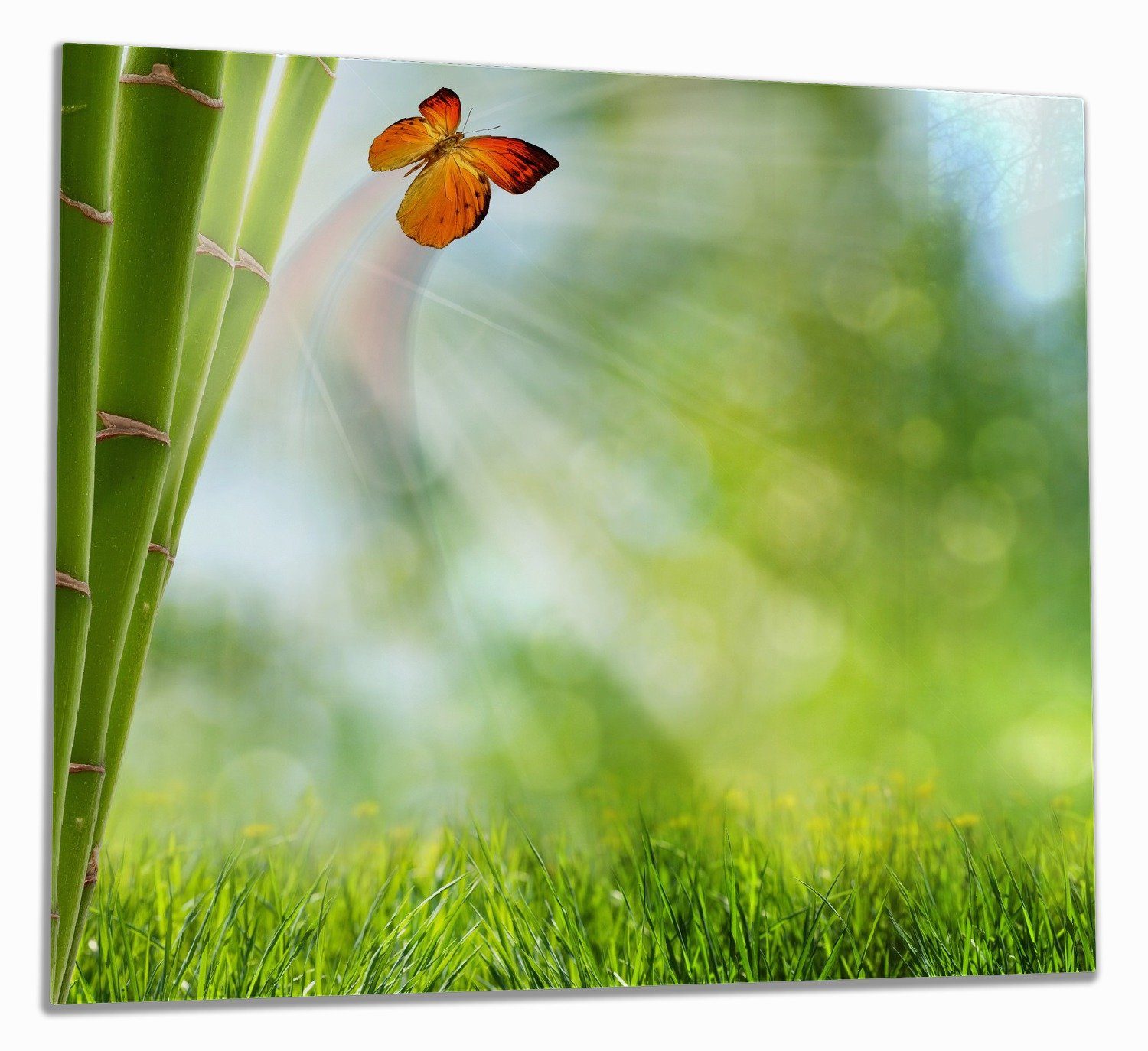 Wallario Herd-Abdeckplatte Schmetterling im Grünen mit Bambus, ESG-Sicherheitsglas, (Glasplatte, 1 tlg., inkl. 5mm Noppen), verschiedene Größen