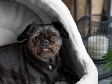 TrendPet Tierbett Höhle LunaHome, in 2 Farben erhältlich