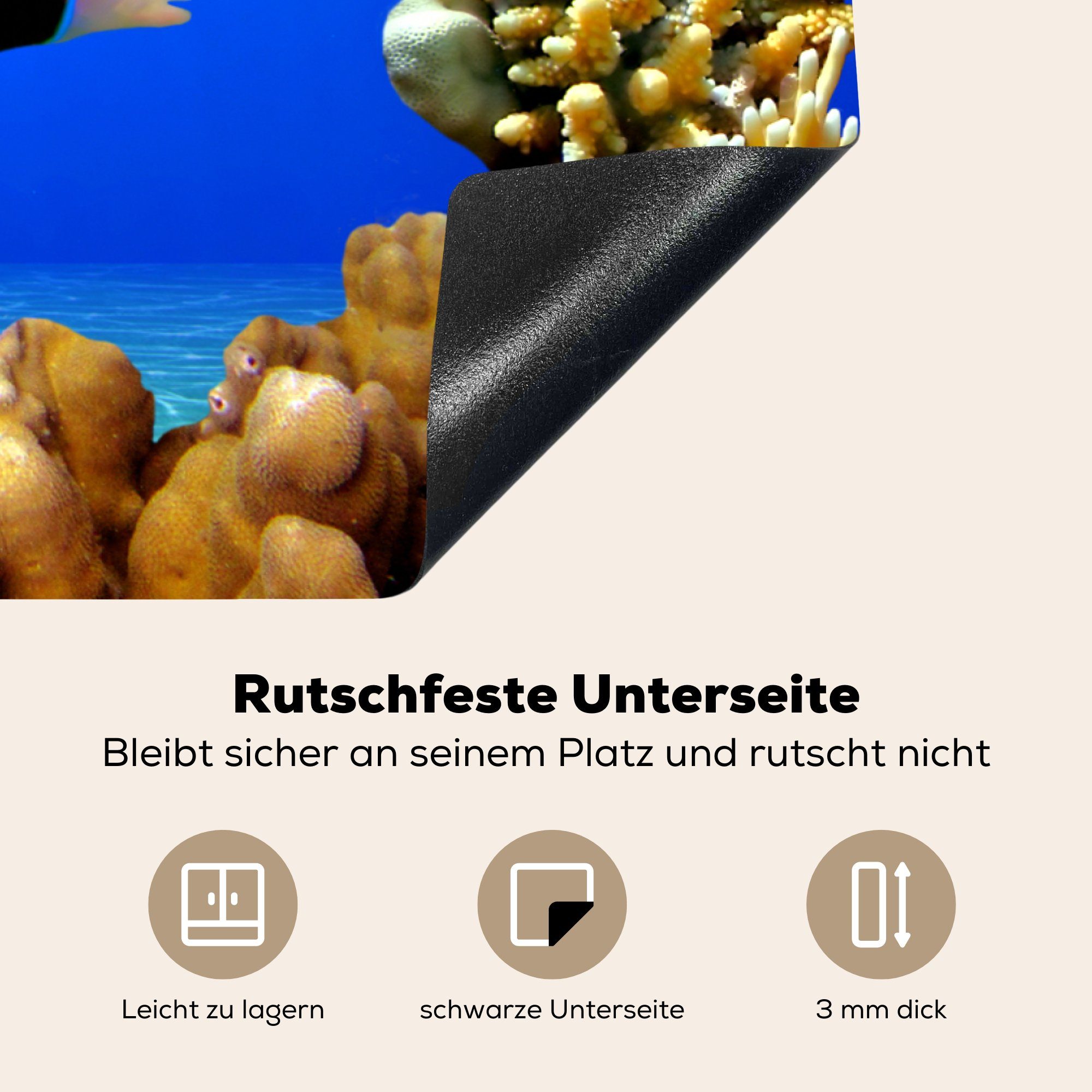 Schutz - die Korallen, 81x52 - tlg), cm, Fische Herdblende-/Abdeckplatte Vinyl, Ägypten MuchoWow (1 Ceranfeldabdeckung küche, für Induktionskochfeld