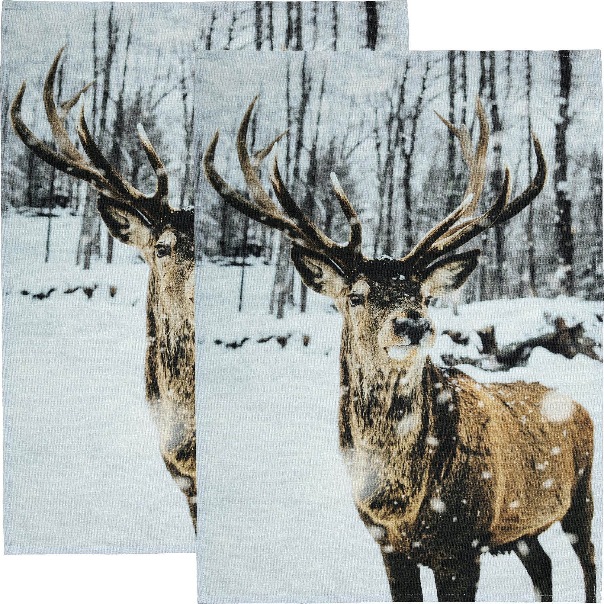 Erwin Müller Geschirrtuch Geschirrtuch 2er-Pack, Baumwolle Motiv