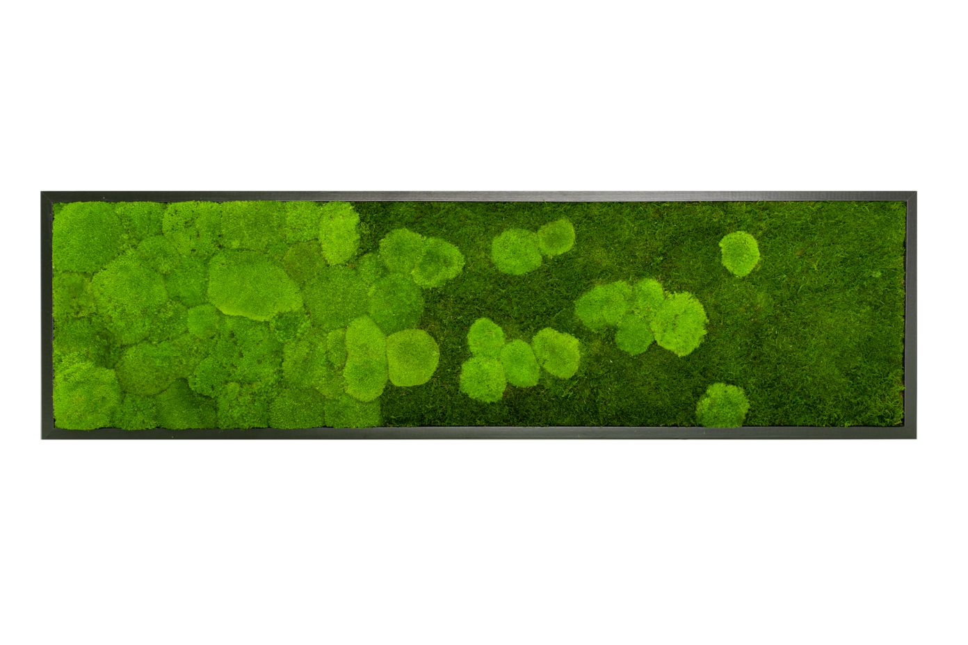 Moos-Design Bilderrahmen Moos Bild River Design günstig online kaufen