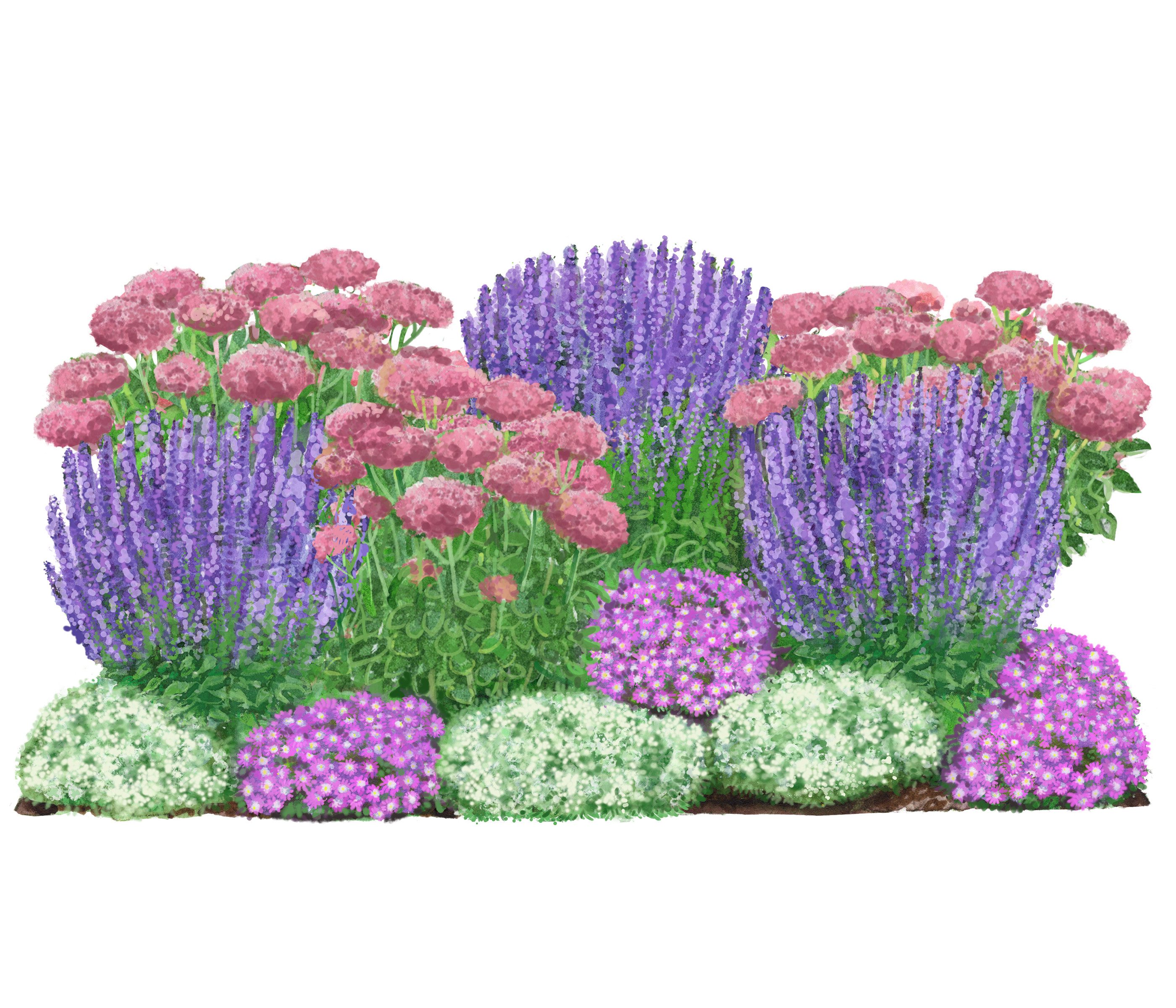 Dehner Staude Bio Stauden-Set Terrassenglück, je 5-20 cm exkl. Pflanztopf, exklusive Landlust Kollektion mit 12 Pflanzen für sonnige Standorte