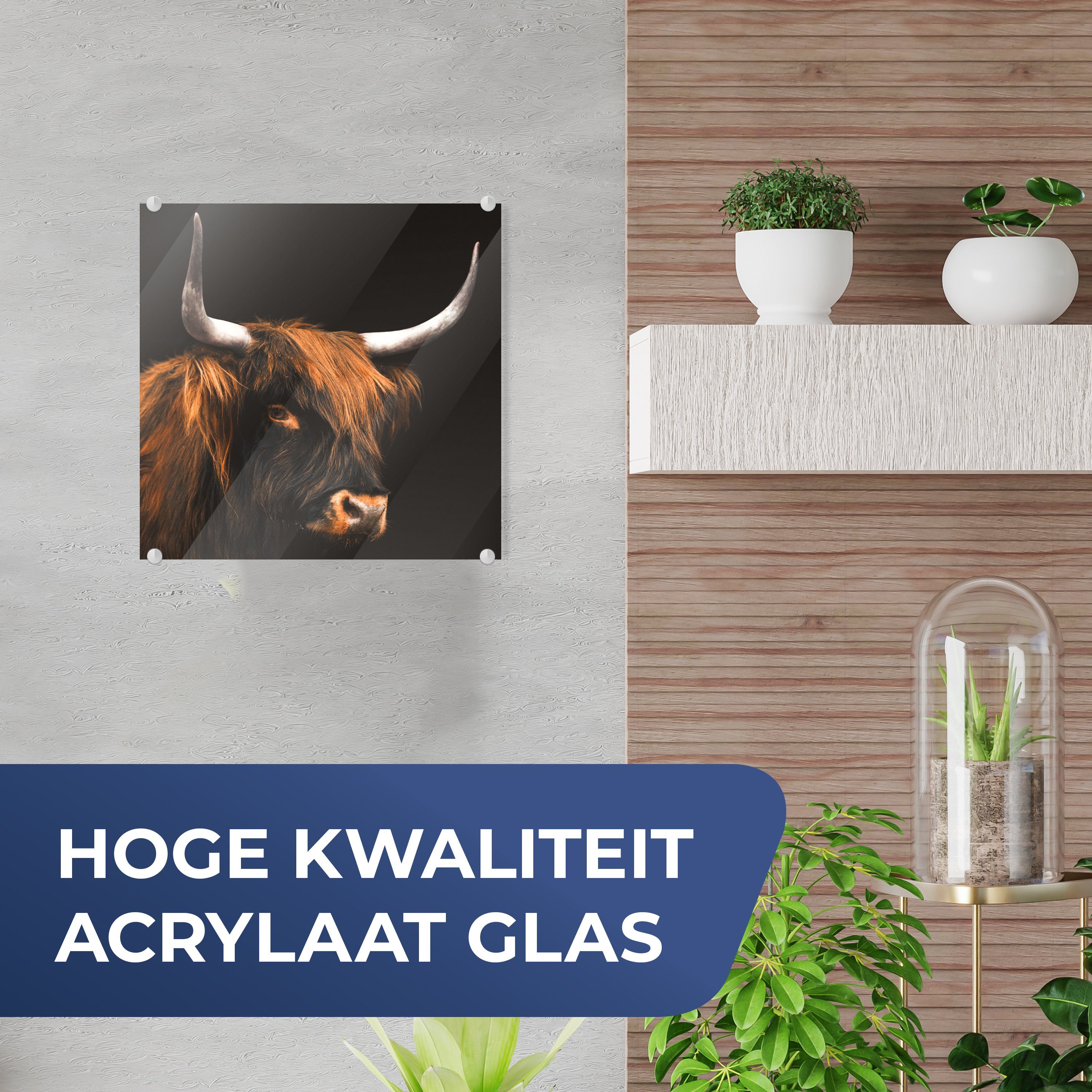 MuchoWow Acrylglasbild Schottischer Highlander - Kuh - (1 - St), - Glas Foto Glasbilder auf Glas Wanddekoration - auf Wandbild Bilder Schwarz