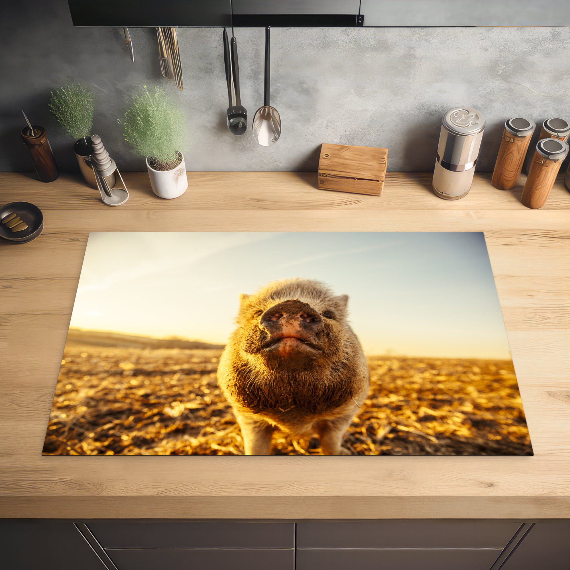 (1 Sonne Schwein, MuchoWow tlg), 81x52 Hängendes Induktionskochfeld die Schwein Vinyl, - küche, Schutz für cm, - Herdblende-/Abdeckplatte Ceranfeldabdeckung