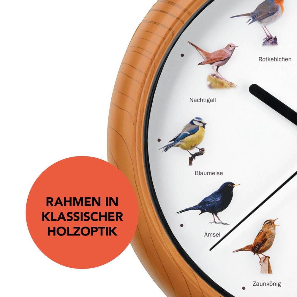 MAXXMEE Wanduhr unterschiedliche Vogelstimmen 25cm (leuchtet im Dunkeln & Abschaltfunktion in der Nacht) – Bild 4 von 5