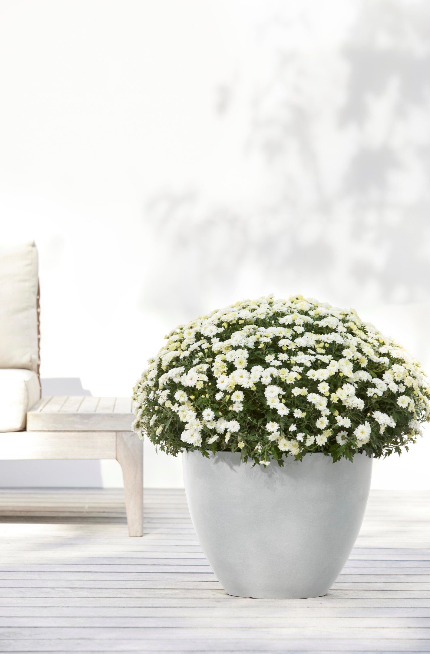 ECOPOTS Blumentopf ANTWERP White 40x40x30 BxTxH: Grey, cm