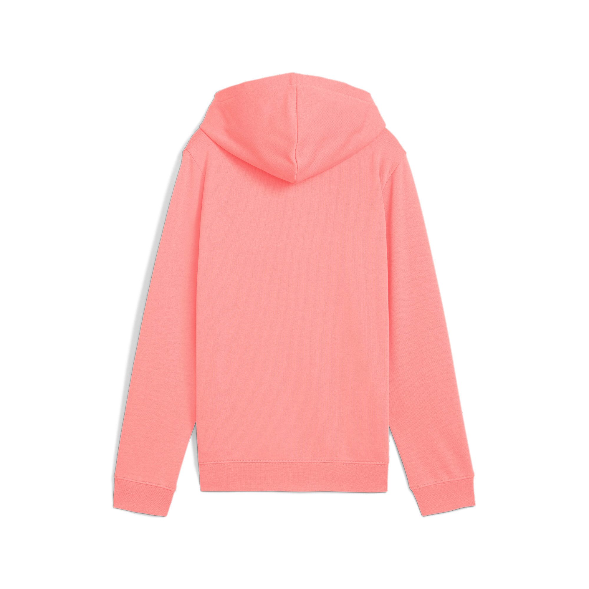 PUMA Kapuzensweatshirt ESS SCRIPT HOODIE TR günstig online kaufen