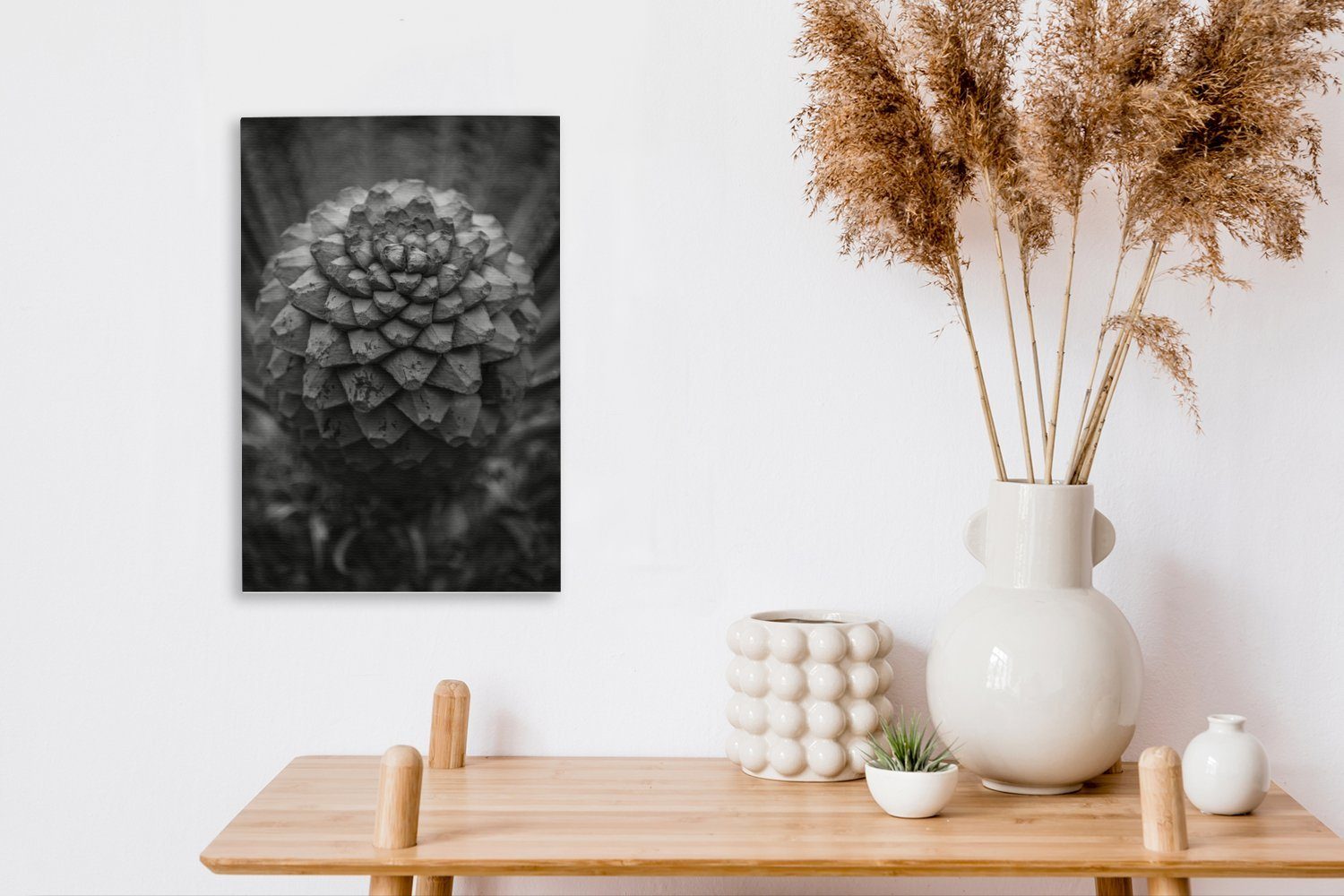 OneMillionCanvasses® Leinwandbild Schwarz-Weiß-Fotografie einer Sagopalme, inkl. Leinwandbild cm St), bespannt Zackenaufhänger, fertig (1 Gemälde, 20x30