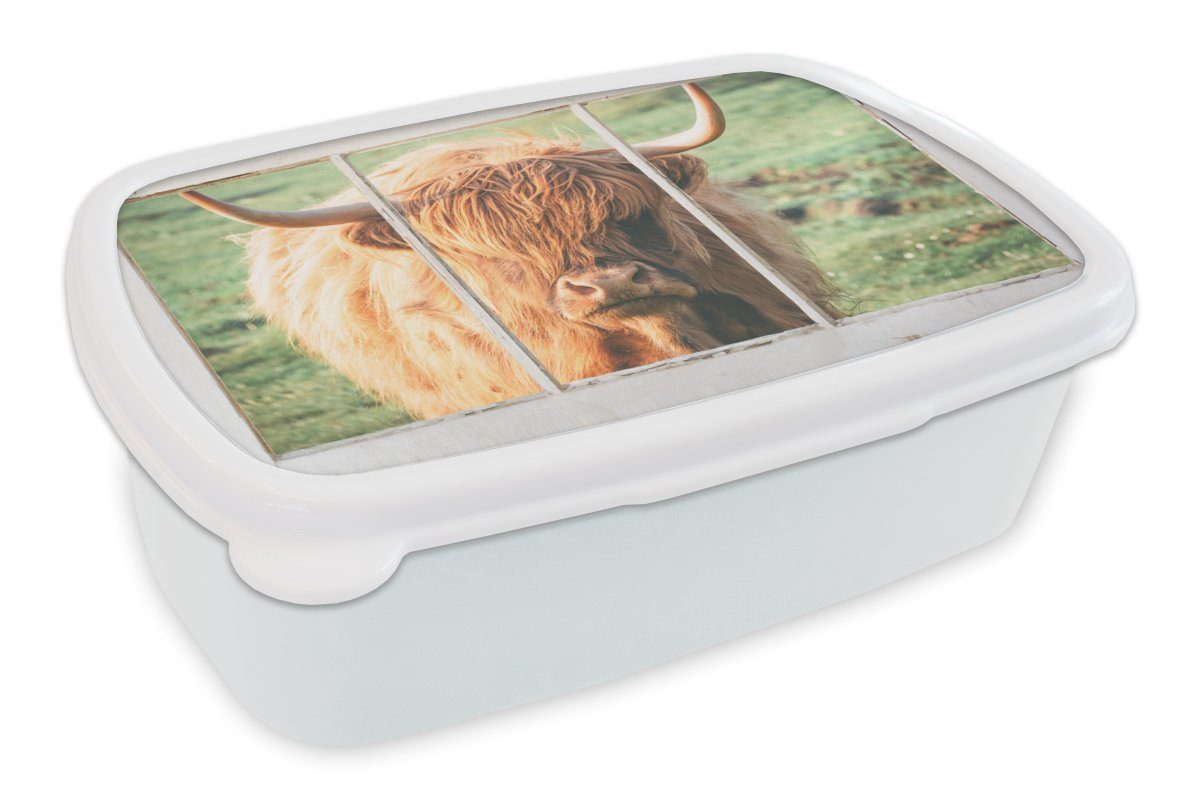 MuchoWow Lunchbox Schottische Highlander - Natur - Ansicht, Kunststoff, (2-tlg), Brotbox für Kinder und Erwachsene, Brotdose, für Jungs und Mädchen weiß