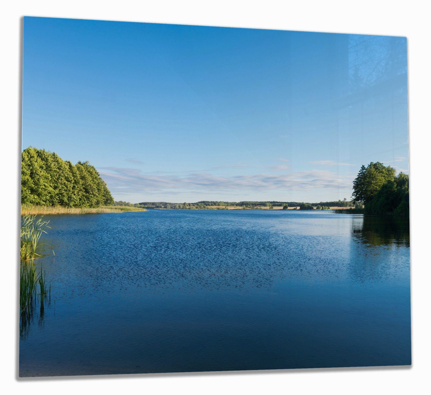 Wallario Herd-Abdeckplatte Malerischer See mit Schilf unter blauem Himmel, ESG-Sicherheitsglas, (Glasplatte, 1 tlg., inkl. 5mm Noppen), verschiedene Größen