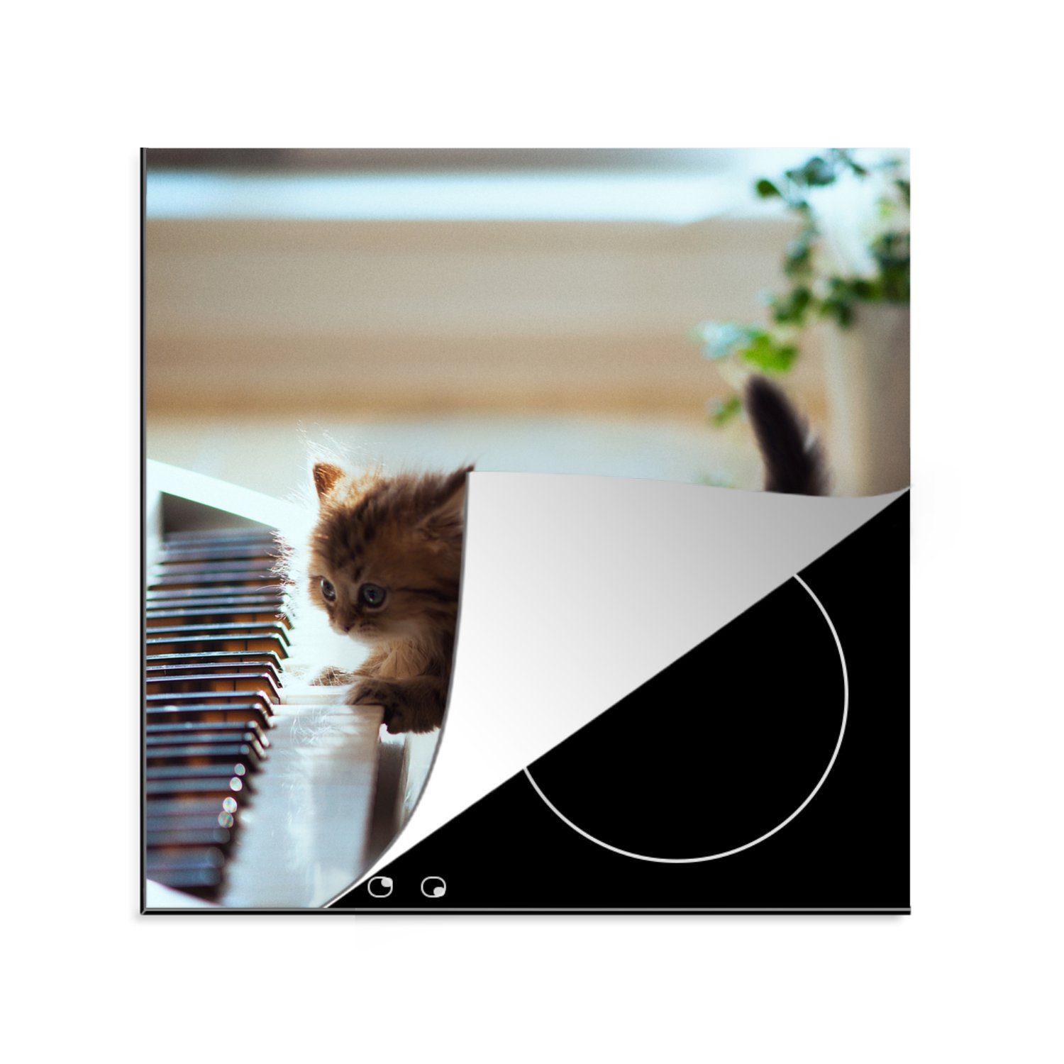 MuchoWow Herdblende-/Abdeckplatte Kätzchen - Klavier - Tiere, Vinyl, (1 tlg), 78x78 cm, Ceranfeldabdeckung, Arbeitsplatte für küche