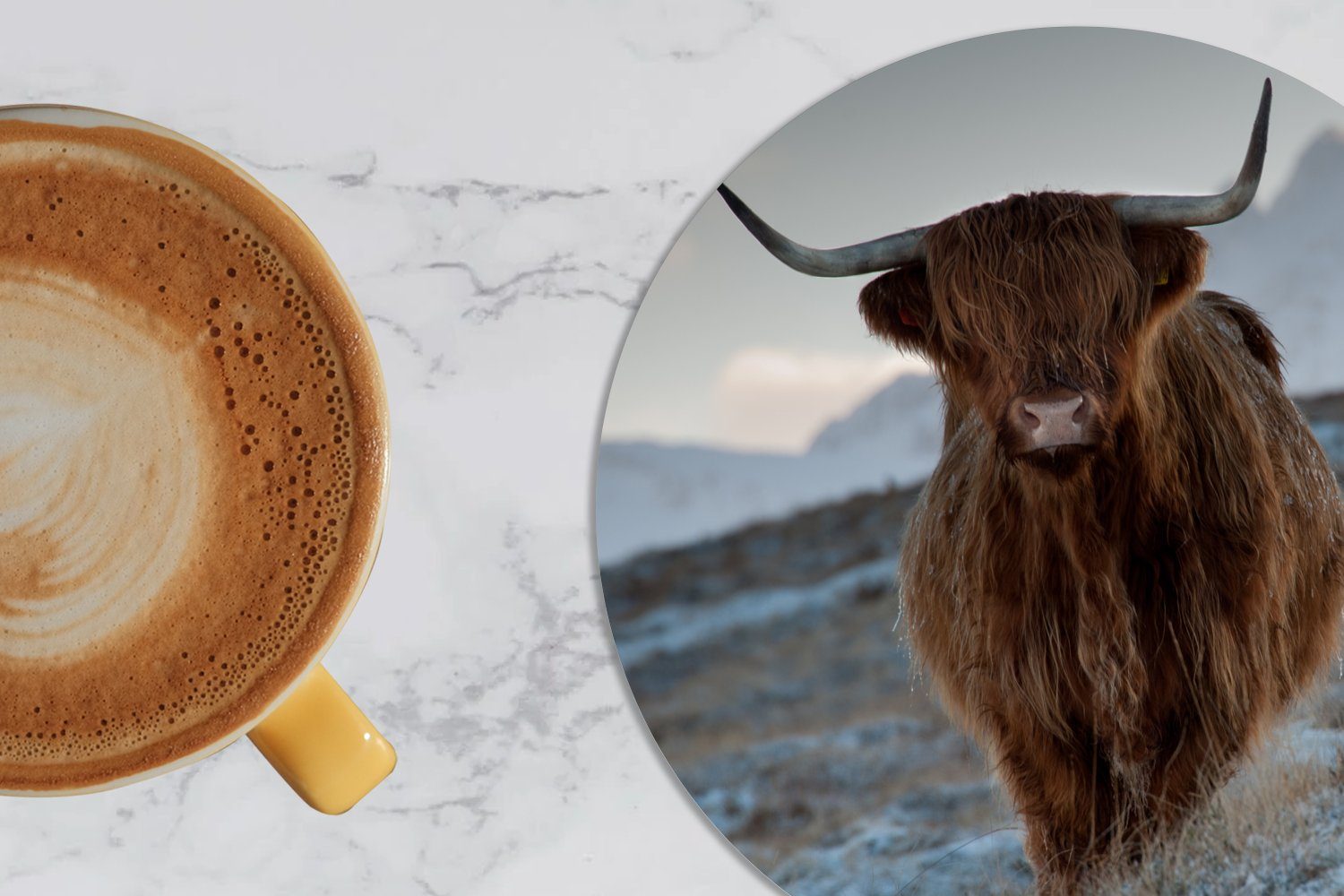 MuchoWow Glasuntersetzer Schottischer Hochländer Landschaft Tasse, - für Zubehör 6-tlg., Gläser, Korkuntersetzer, - Getränkeuntersetzer, Schottland, Becher Tassenuntersetzer