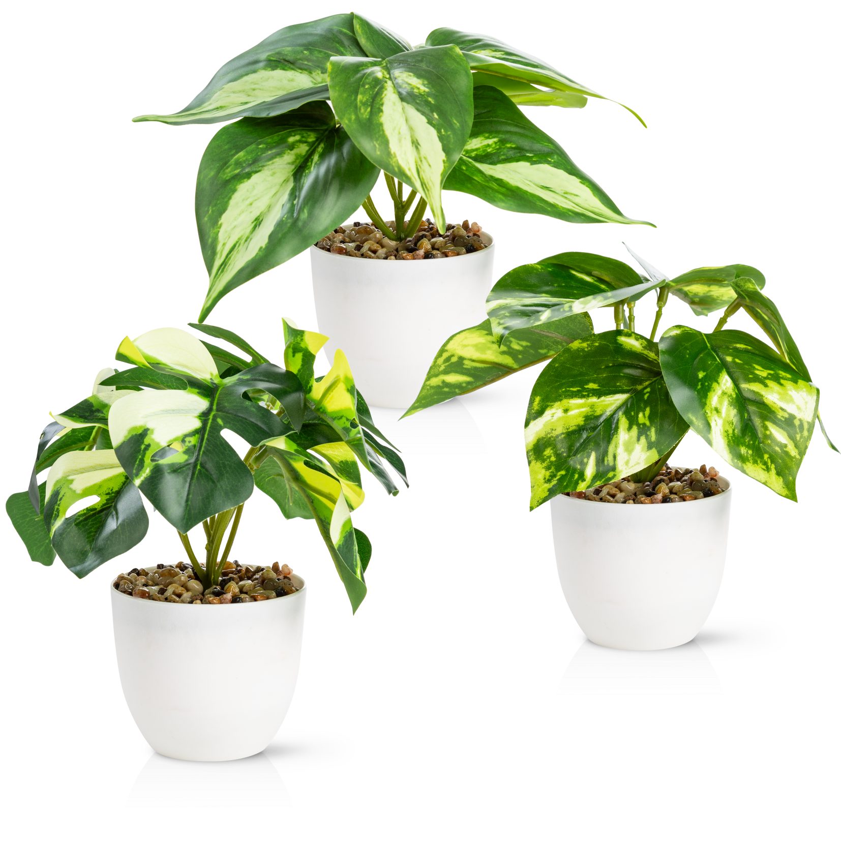 Künstliche Zimmerpflanze Kleine Kunstpflanzen & Künstliche Sukkulenten wie günstig online kaufen