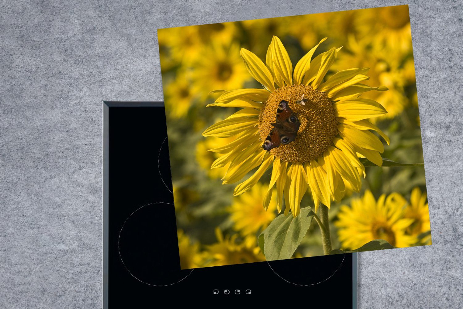 Herdblende-/Abdeckplatte Arbeitsplatte einer cm, küche (1 auf Tagpfauenauge Ceranfeldabdeckung, Schmetterling für MuchoWow Sonnenblume, 78x78 tlg), Vinyl,