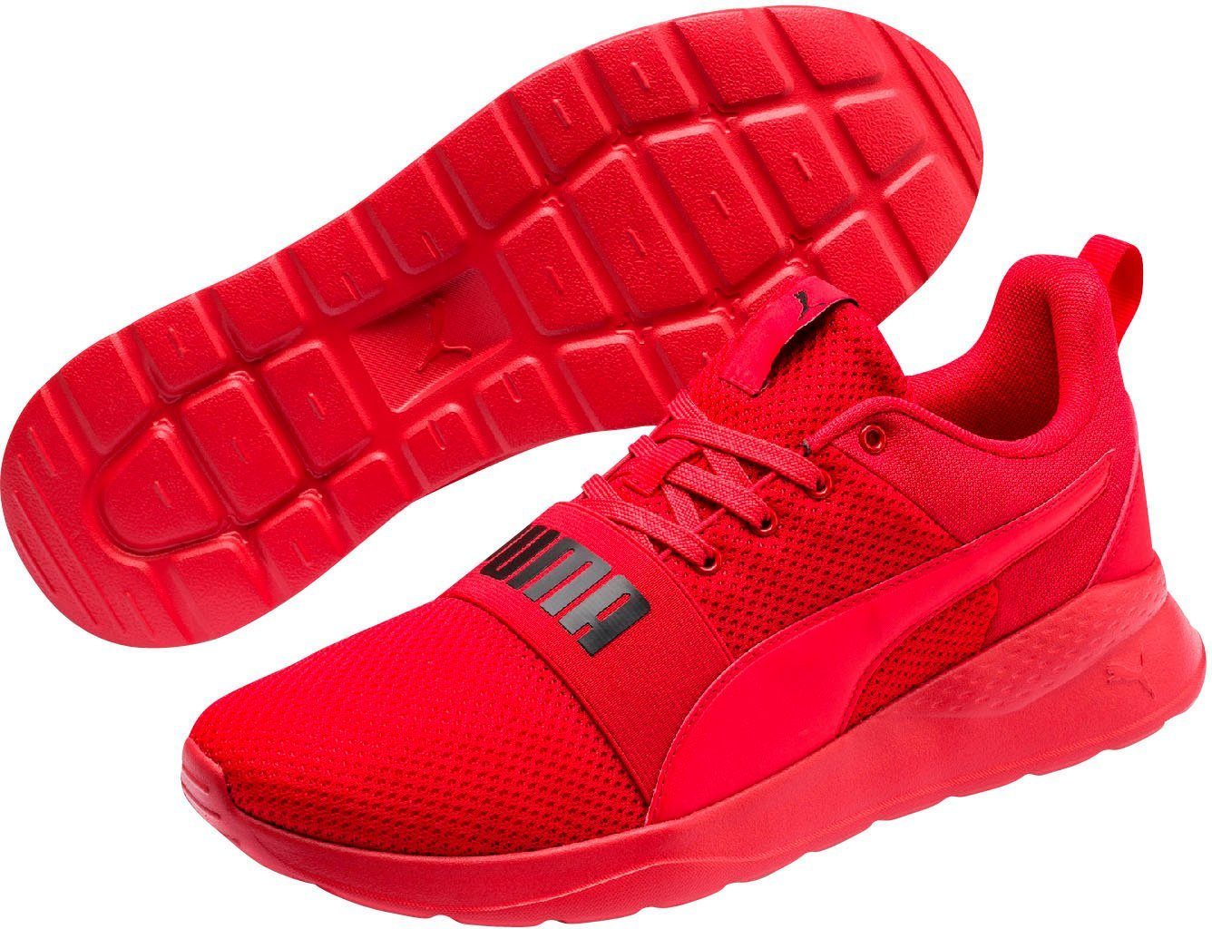 puma bold
