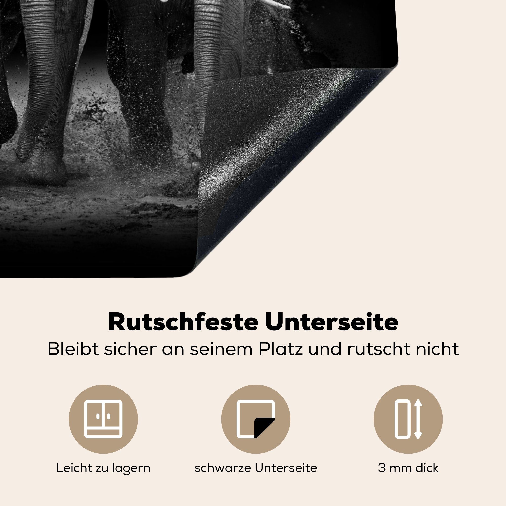 Schwarz 58x51 tlg), Herdblende-/Abdeckplatte MuchoWow für cm, Dekoration - Tiere, (1 Küchen Vinyl, Induktionsherd, Elefant - - Weiß Induktionskochfeld