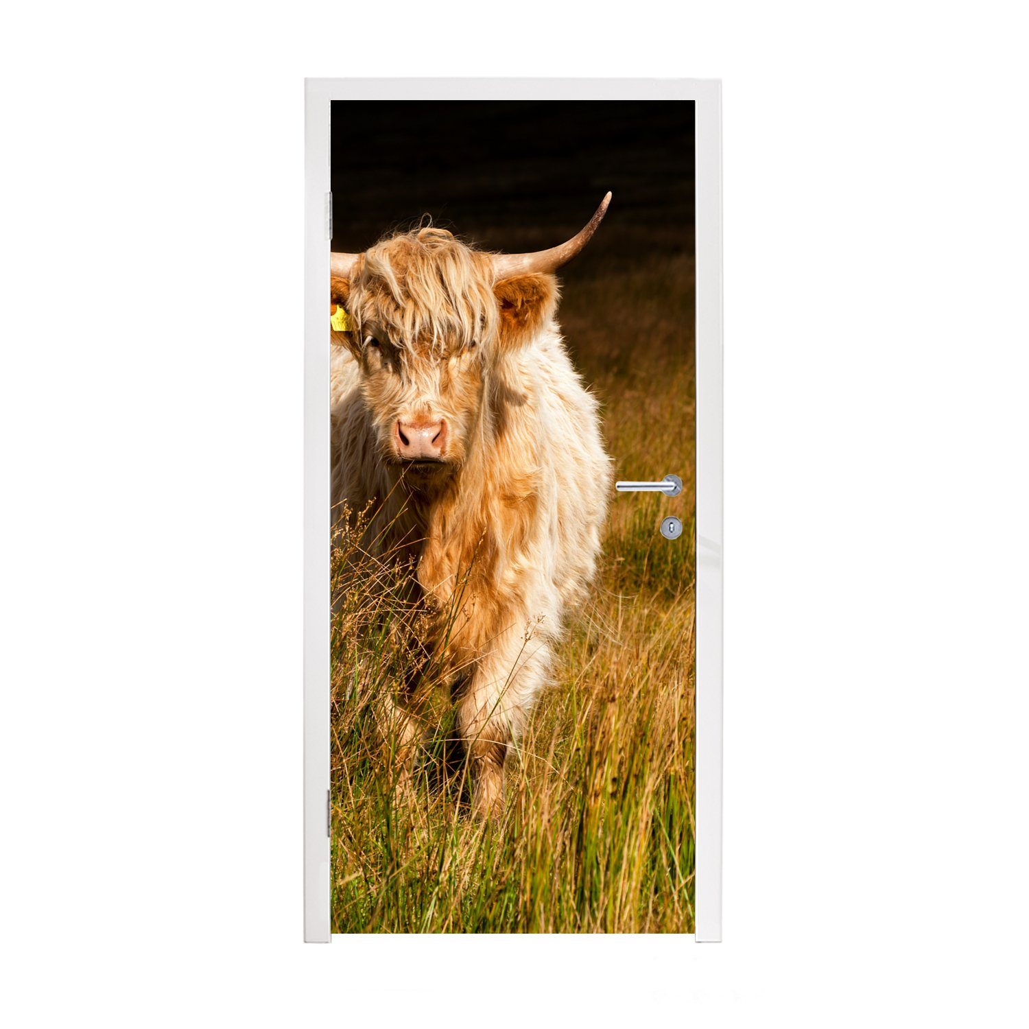 MuchoWow Türtapete Schottische Highlander - Licht - Gras - Tiere, Matt, bedruckt, (1 St), Fototapete für Tür, Türaufkleber, 75x205 cm