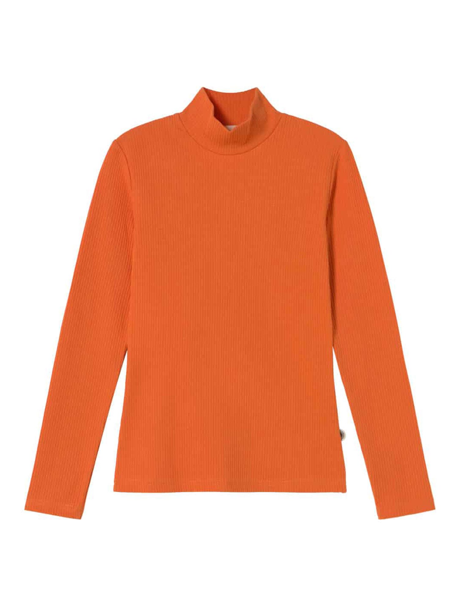 Apricot