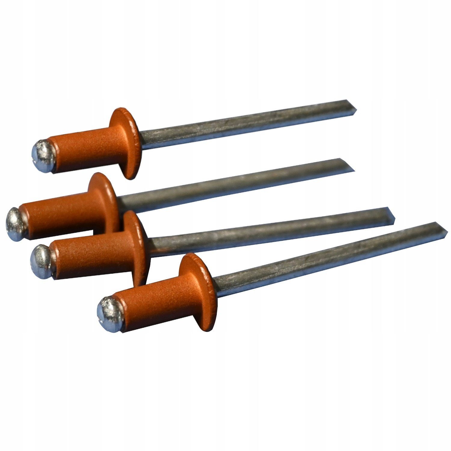 Stop Sun Niete MD/n, 4x8 Niete Weiß/Anthrazit/Goldene Eiche (Packung - 100 Stück)