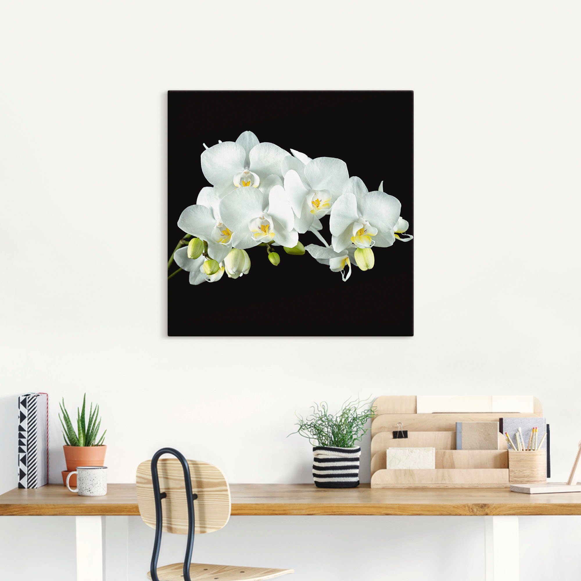 Artland Leinwandbild Weiße Orchidee auf schwarzem Hintergrund, Blumen (1 St), auf Holzrahmen gespannt