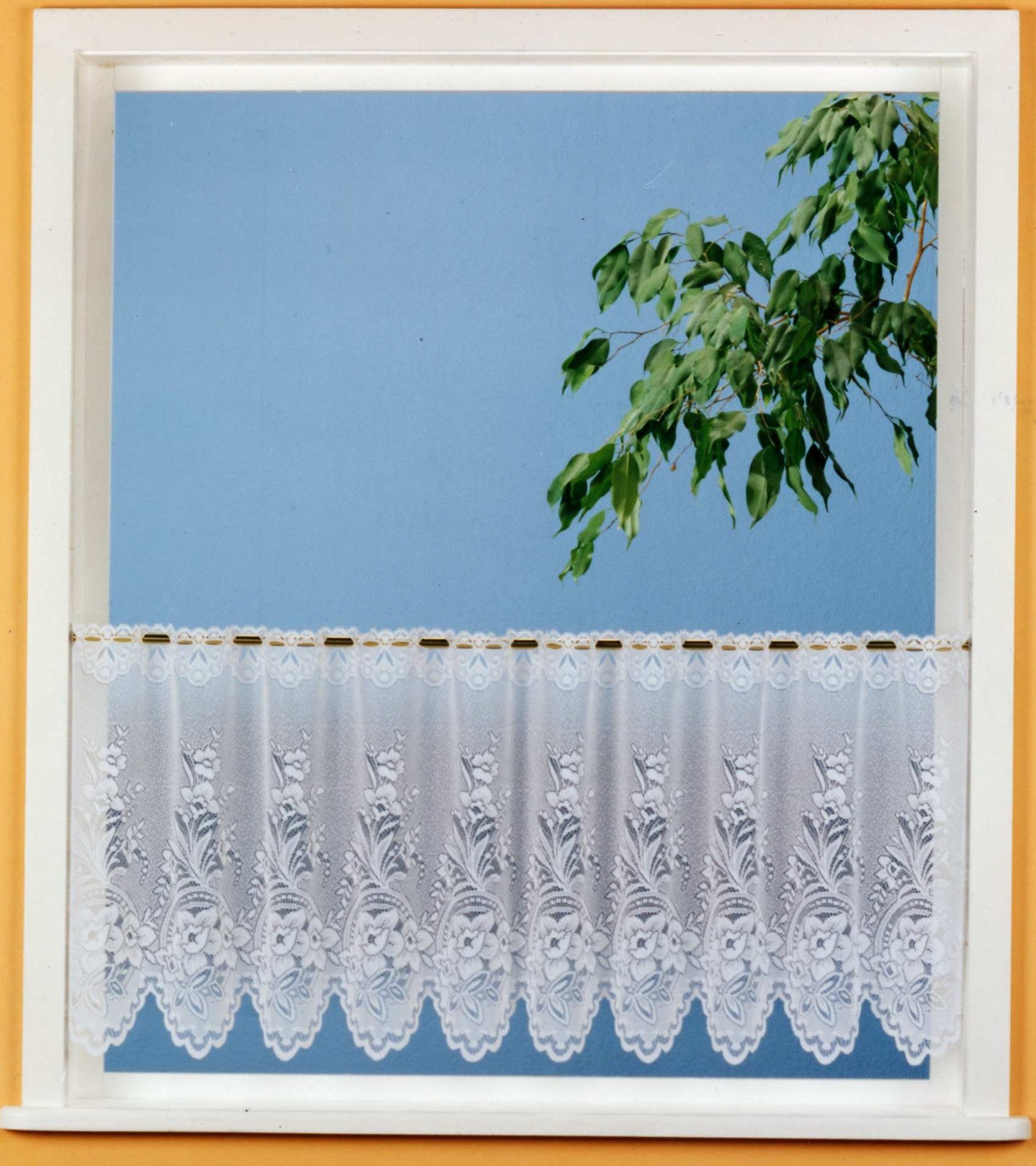 Weckbrodt Scheibengardine Ella (1 St), Stangendurchzug, halbtransparent, Bi günstig online kaufen