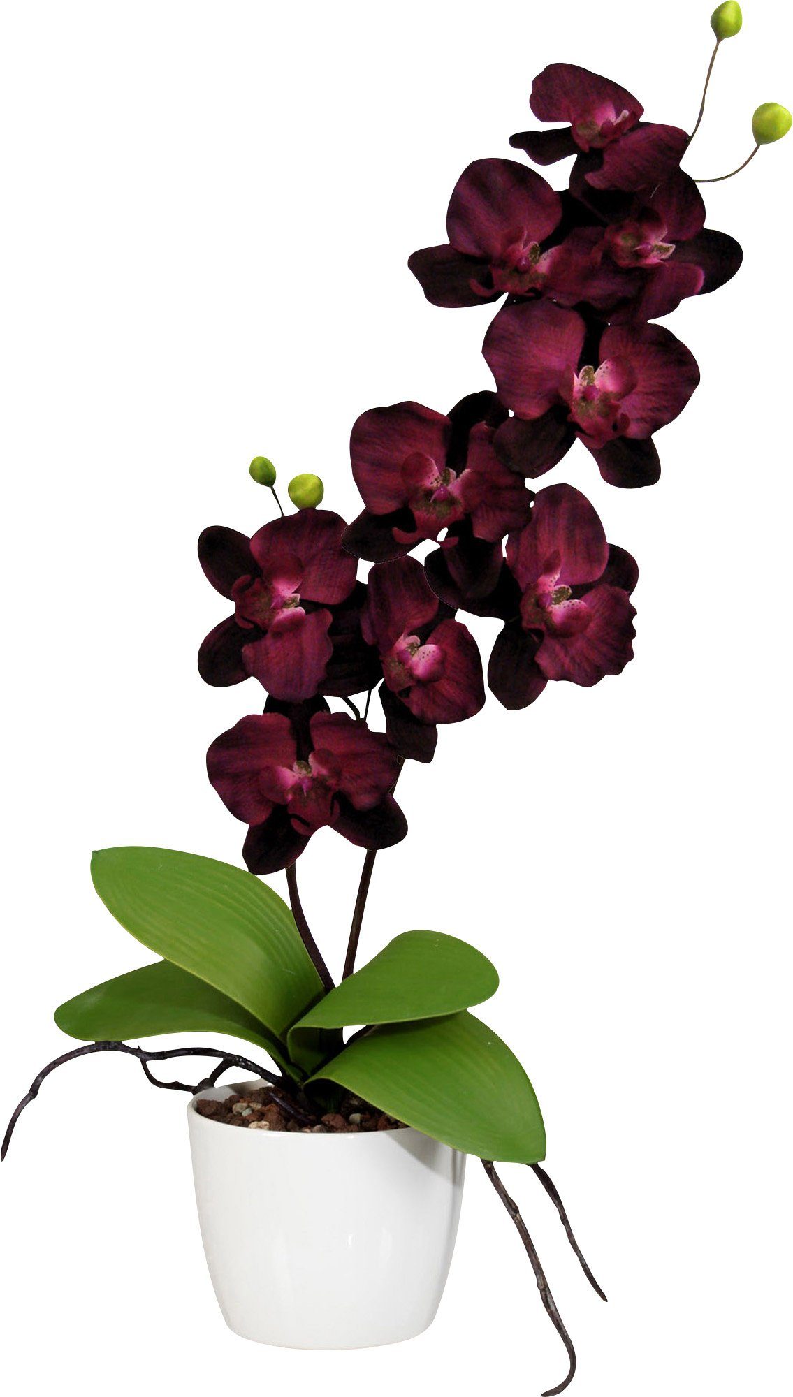 Kunstpflanze Kunstpflanze Orchidee günstig online kaufen