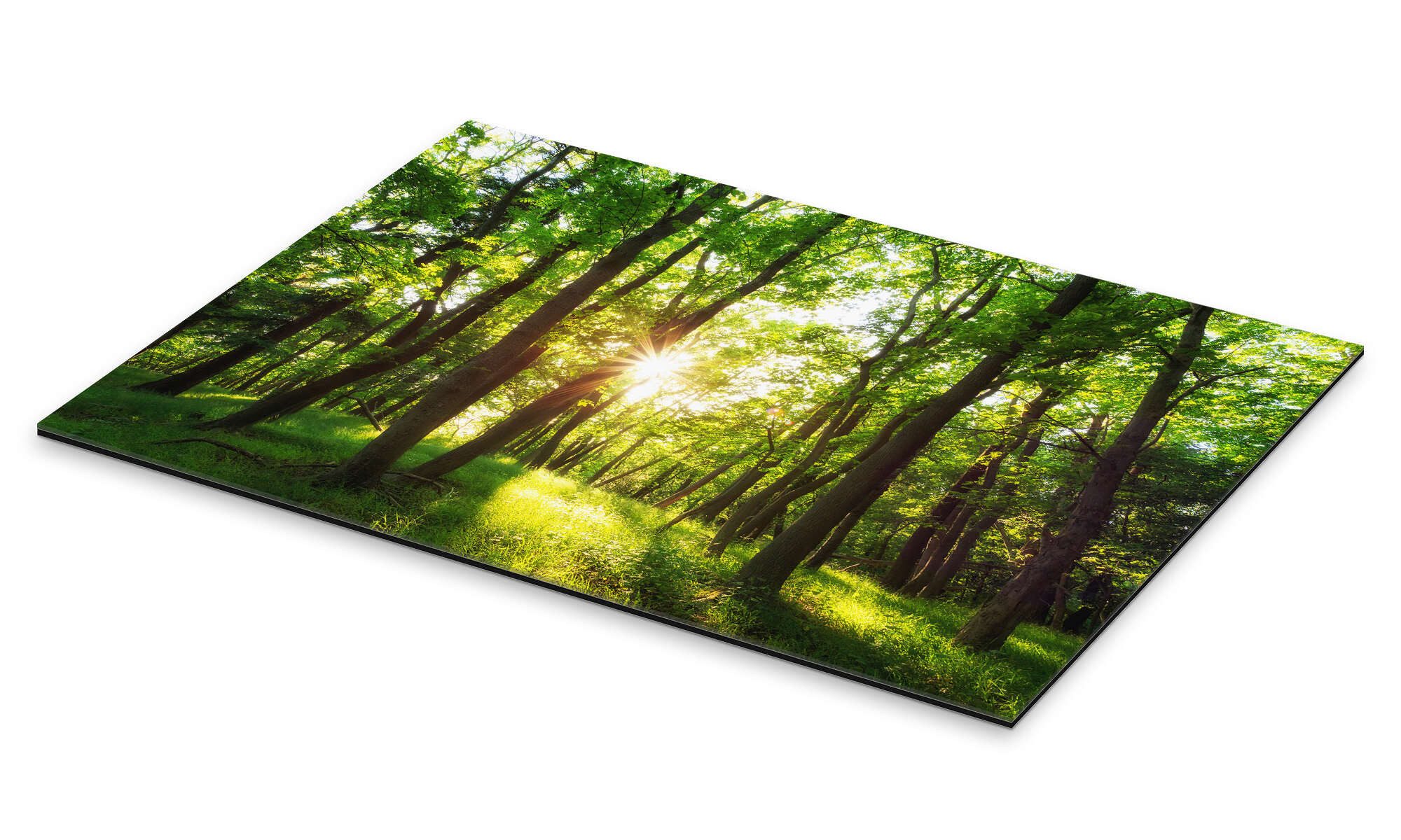 Posterlounge Poster Oliver Henze, Frühling in günstig online kaufen