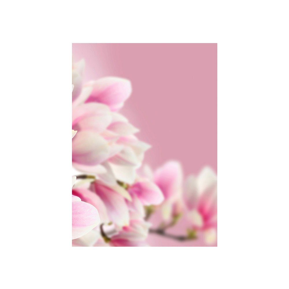 Blume Natur rosa no. Pflanzen 14, Magnolie Fototapete liwwing Orchidee Fototapete Blumen Blumenranke