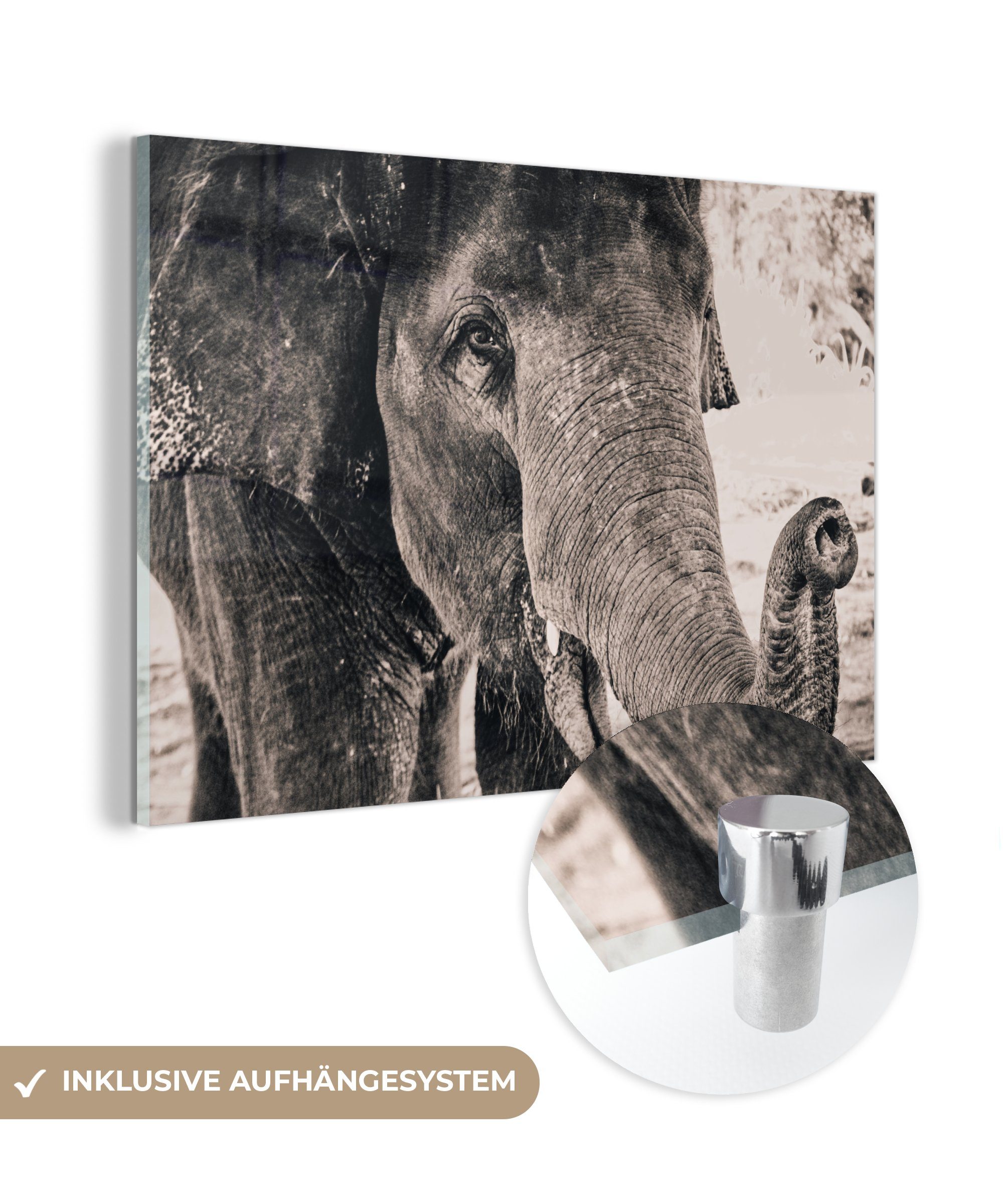 MuchoWow Acrylglasbild Elefant - Porträt - Schwarz - Weiß, (1 St), Acrylglasbilder Wohnzimmer & Schlafzimmer